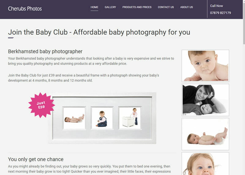 Case Study Website Snapshot Case Study Website Snapshot